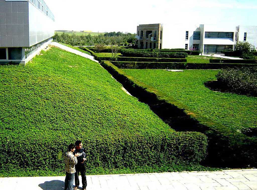 Cyprus International Uluslararasi Kibris Universitesi University 2.jpg